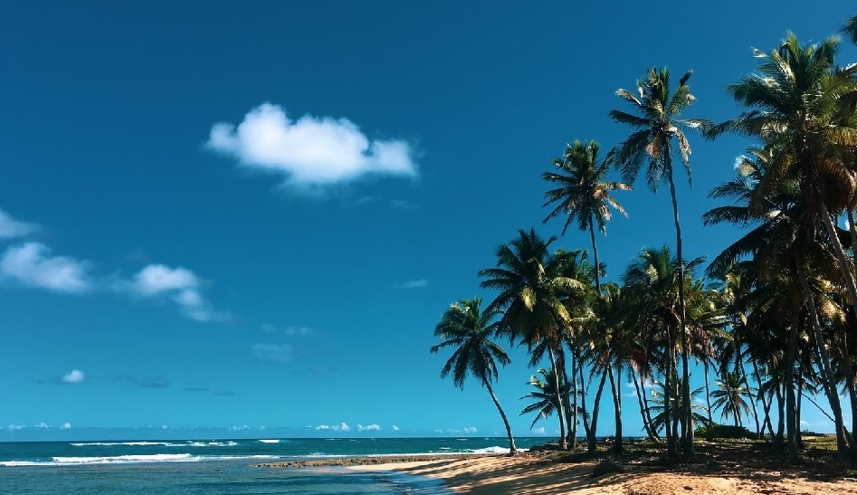 beach dominicana