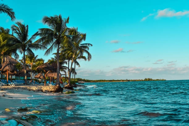 costa maya