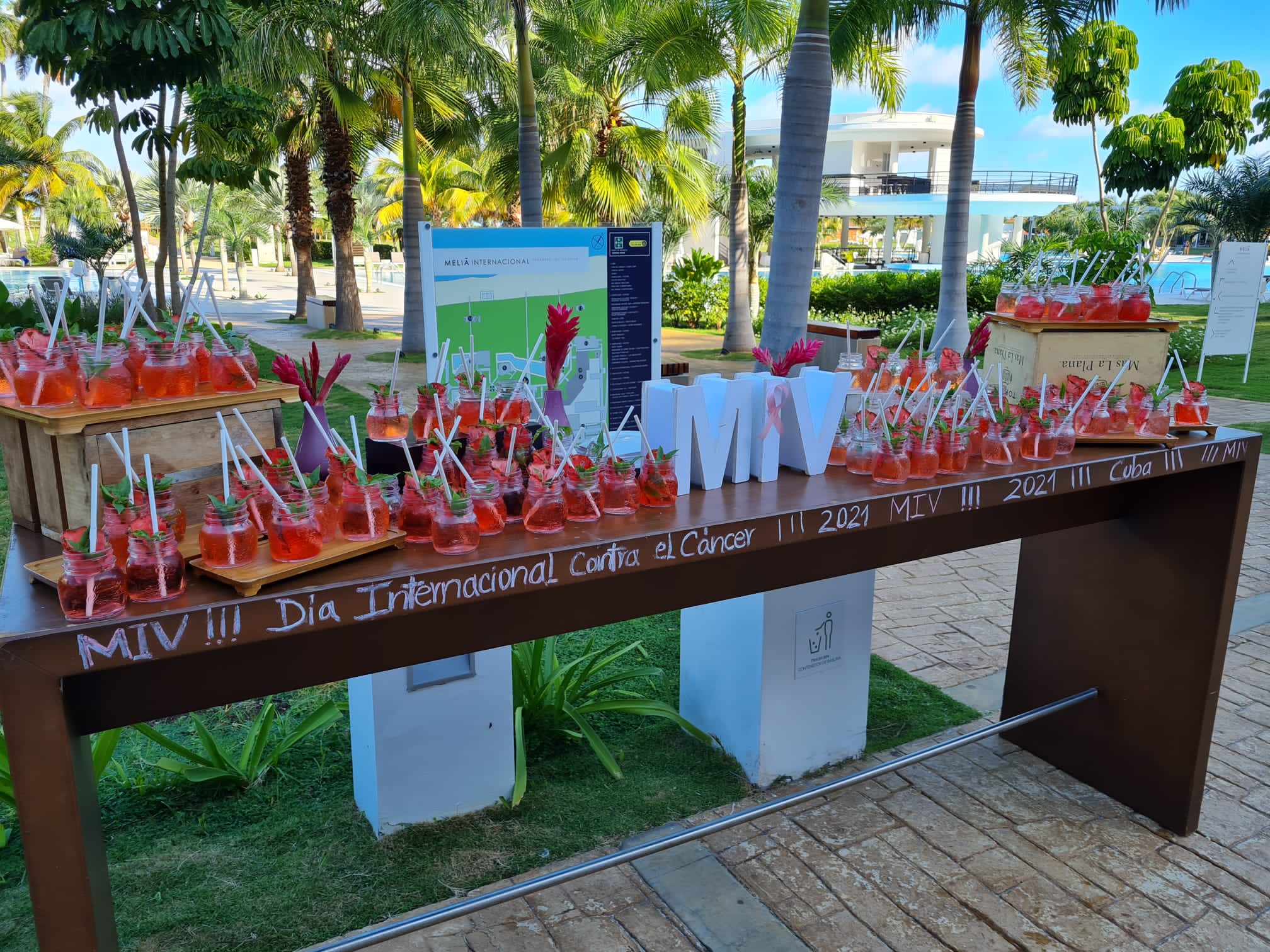 coctel