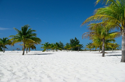 Cayo Largo