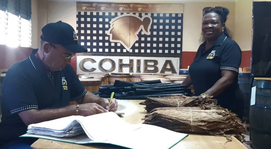 cohiba