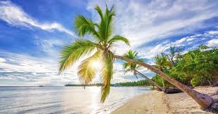 dominicana
