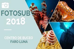 Открылся на Кубе конкурс подводной фотографии