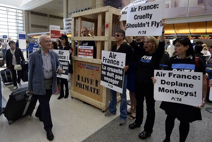Профсоюзы Air France могут возобновить забастовку