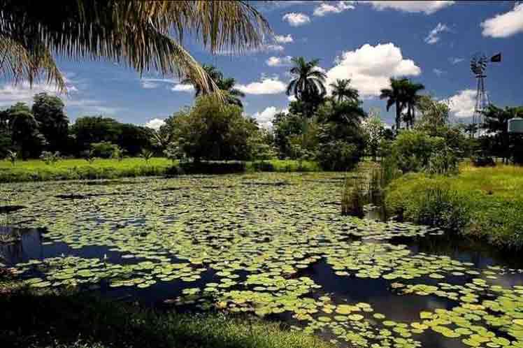 Turnat-2019 представит кубинские болотные угодья