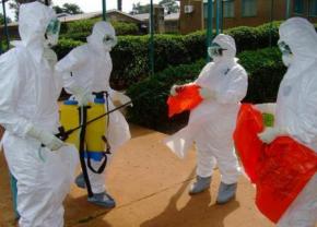 Международная организация здравоохранения объявляет чрезвычайное положение в связи с проблемой вируса Эбола